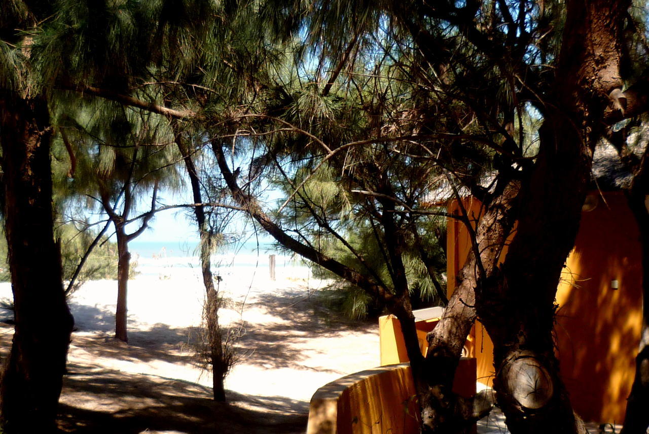 Diamarek Hotel Sur La Plage แซ็ง-ลุย ภายนอก รูปภาพ