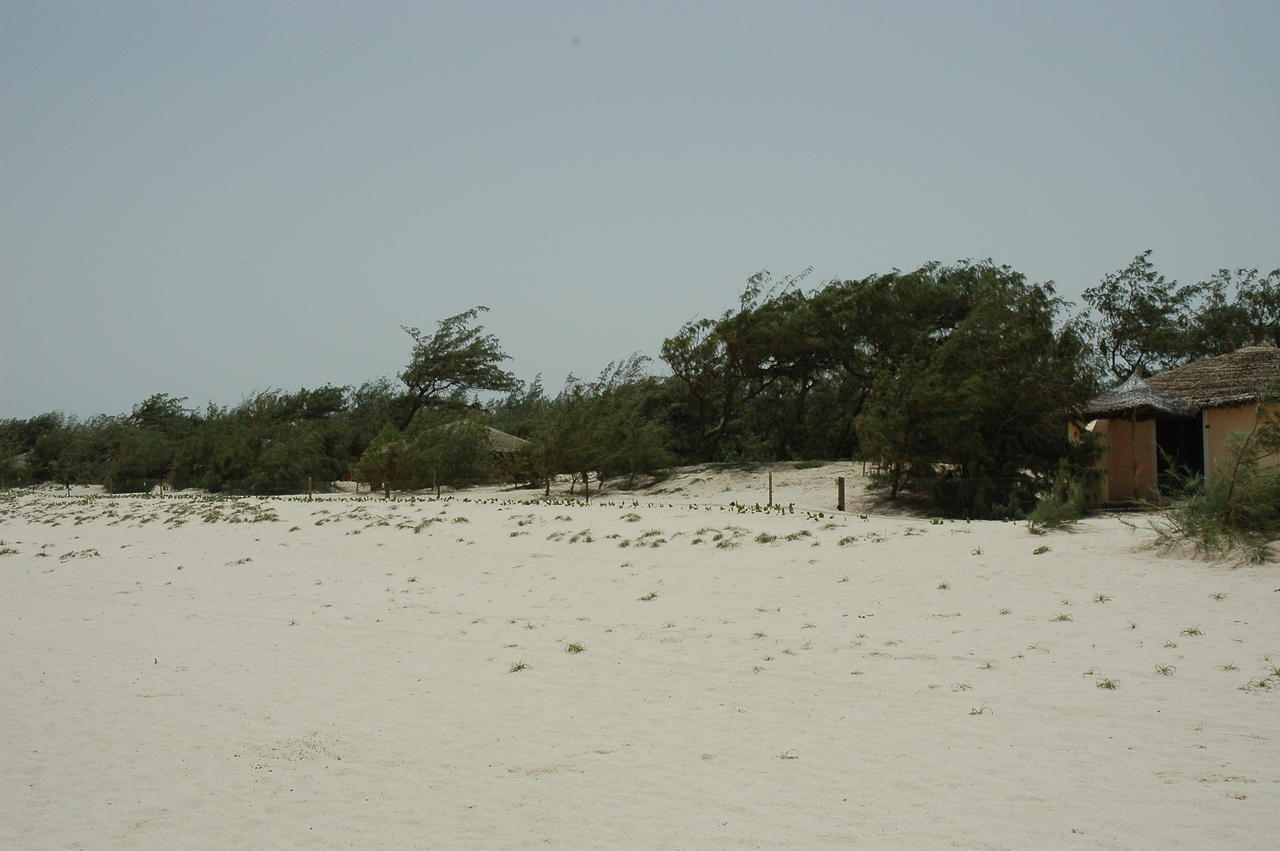 Diamarek Hotel Sur La Plage แซ็ง-ลุย ภายนอก รูปภาพ